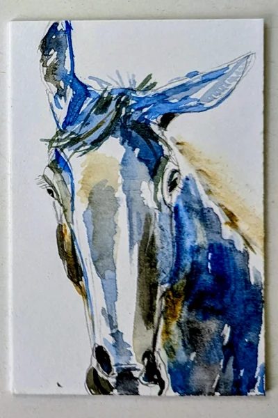 Zeichnung von Turid Schuszter
