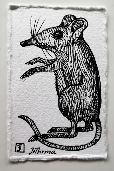 Zeichnung von Jo Thoma