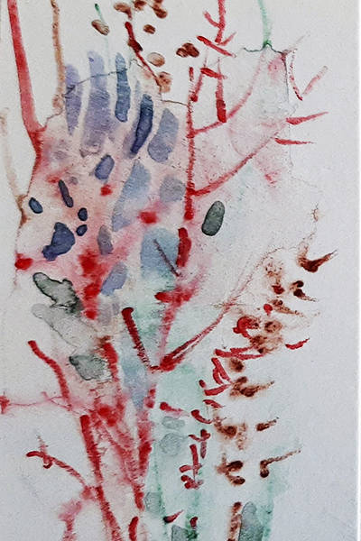 Aquarell von Liliana Mesmer