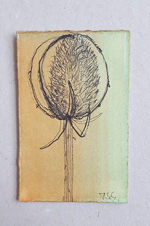 Zeichnung von Turid Schuszter