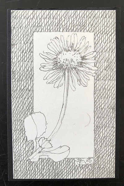 Zeichnung von Johanna Schreiner