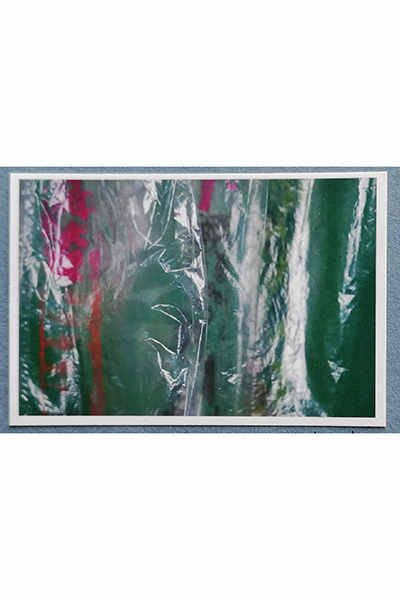 Fotografie von Jeannette Scheidle