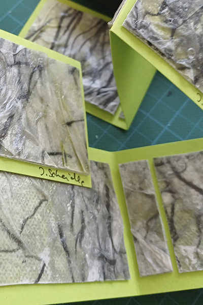 Frottage von Jeannette Scheidle