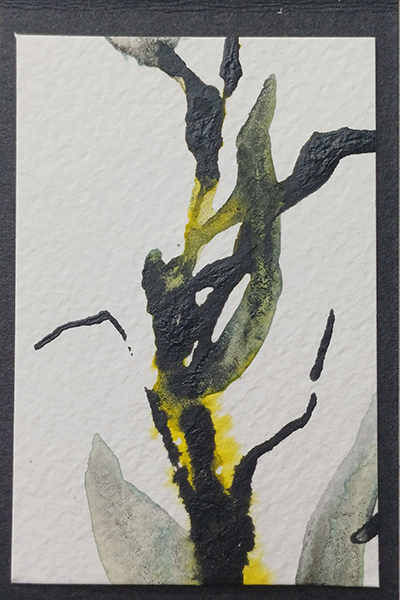 Zeichnungen von Jeannette Scheidle