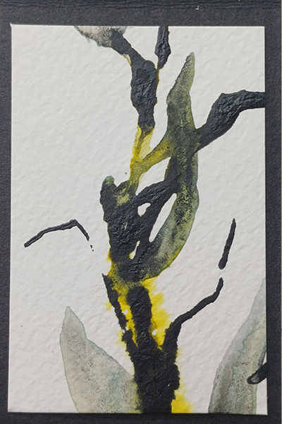 Zeichnungen von Jeannette Scheidle