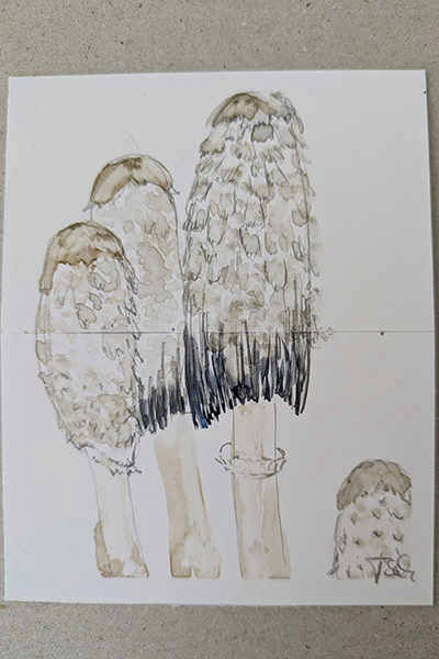 Zeichnungen Turid Schuszter