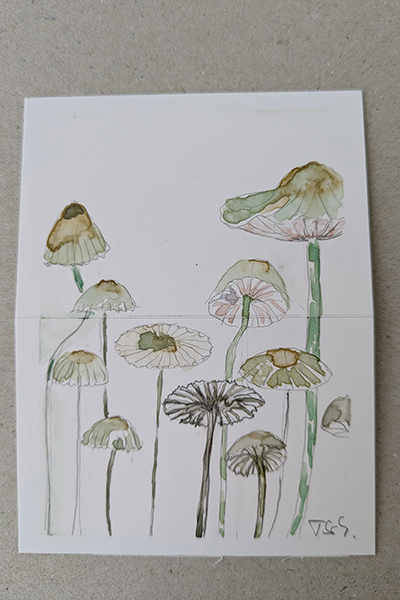 Zeichnung von Turid Schuszter