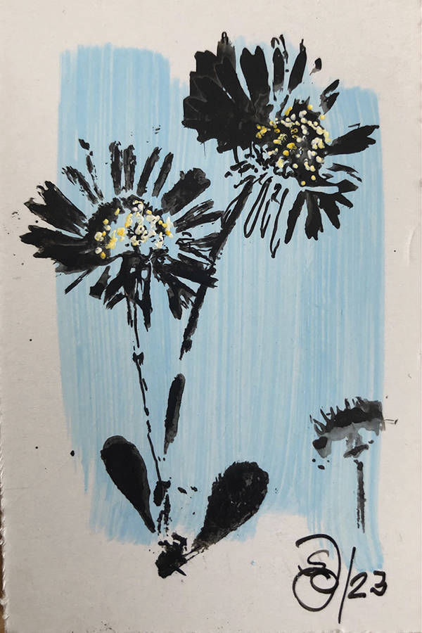 Mixed Media von Johanna Schreiner