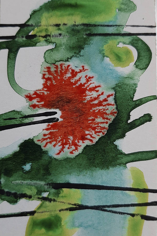 Aquarelle von Liliana Mesmer